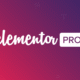 Elementor Pro – The Most Advanced Website Builder Plugin - Unlock the Full Range of Pro Features