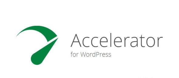 Seraphinite Accelerator Pro